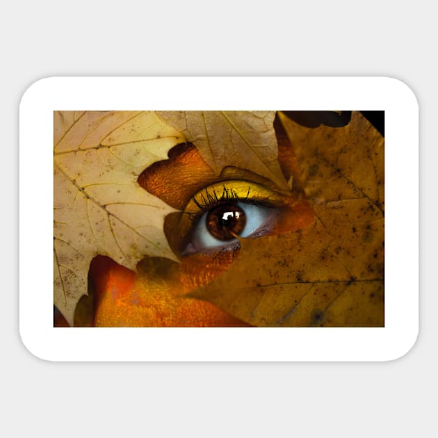 Brown maple leaf with person s eye Sticker by mydesignontrack